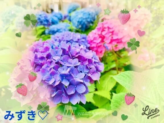 おはようございます♡