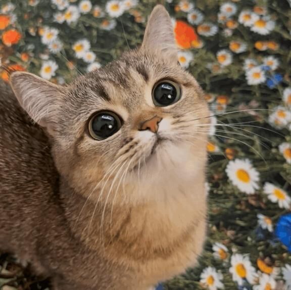 おはようございます&#10024;