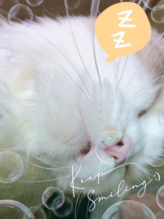 ごめんなさい