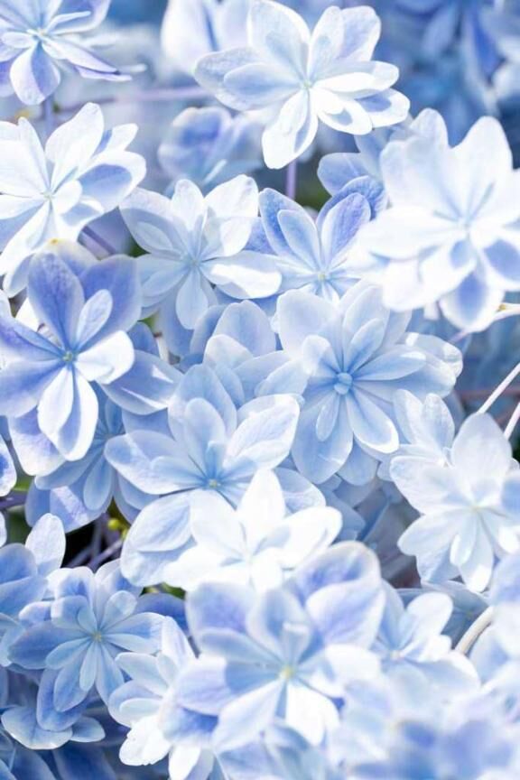 おはようございます&#9825;
