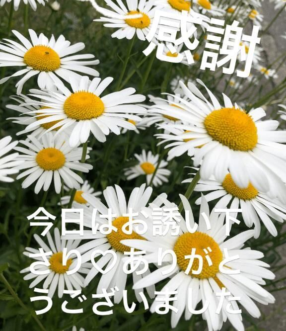 お礼です&#9825;