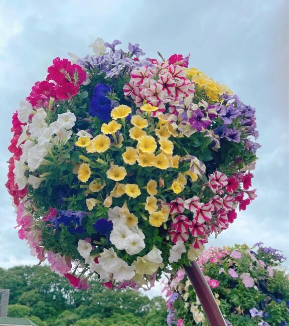 こんばんは&#9825;