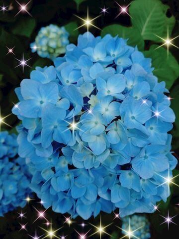 　順番に