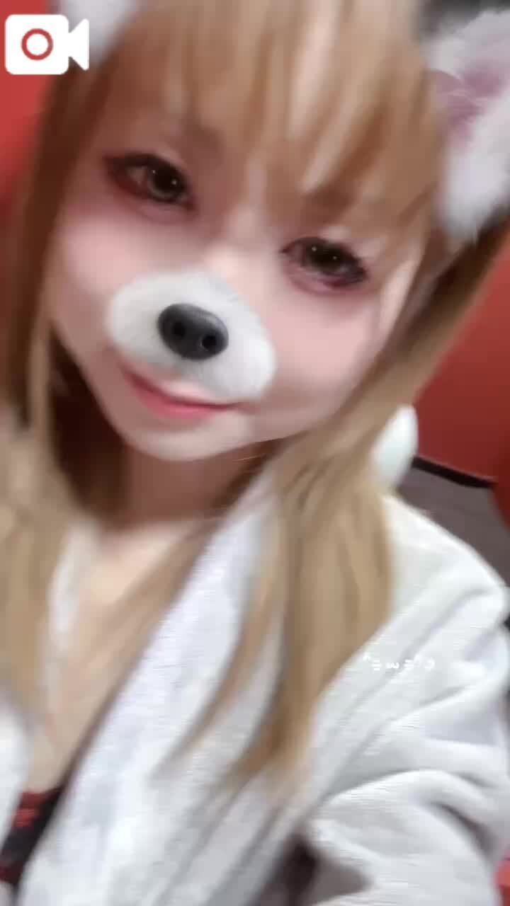 おはようございます