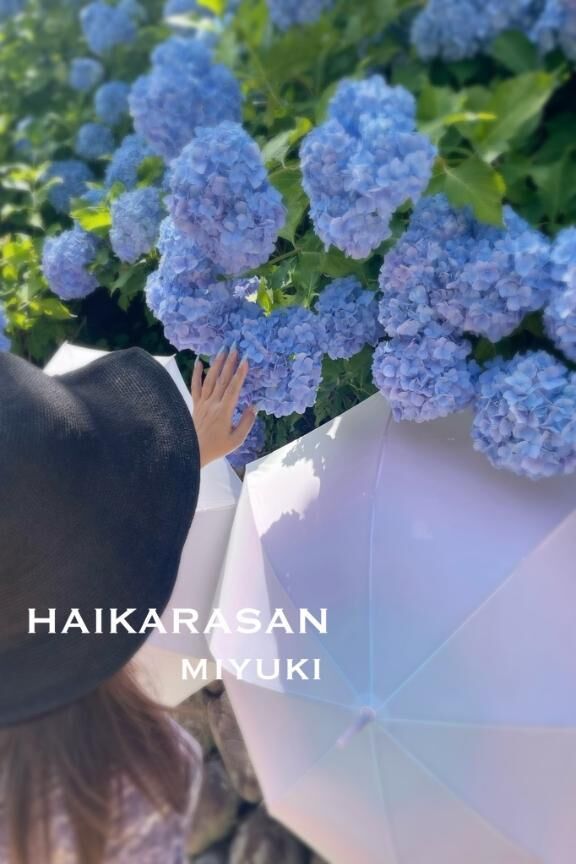 &#9825;おはようございます&#9825;
