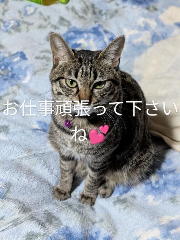 おはようございます