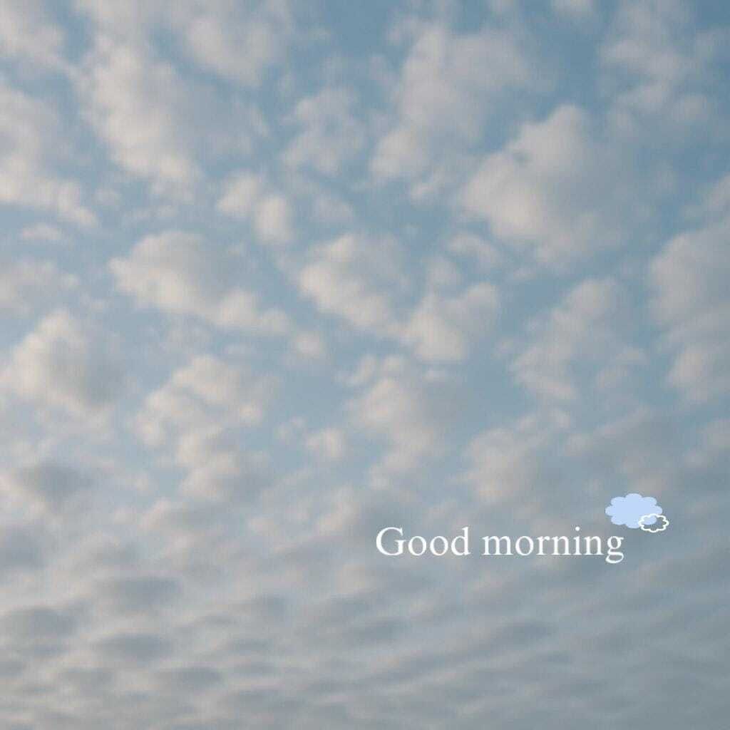 ぽわっと朝活