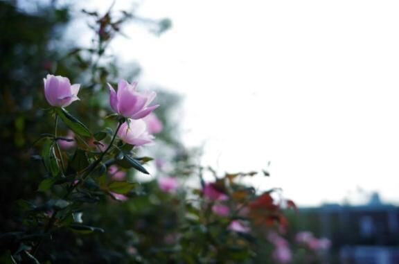 顔洗う♡
