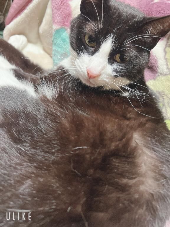 シフト変更しました