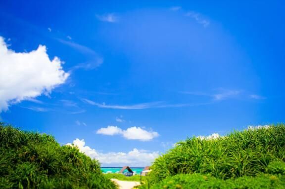 来週の予定