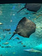 遊園地?水族館?