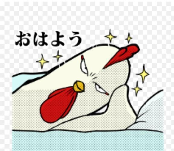 今日は晴れ