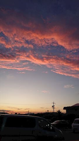 　良かったー