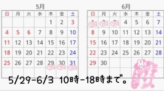 明日から&#129655;