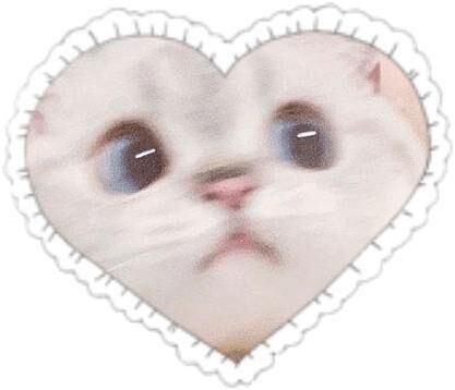 完売ありがとう&#129392;また来月&#10083;&#65039;
