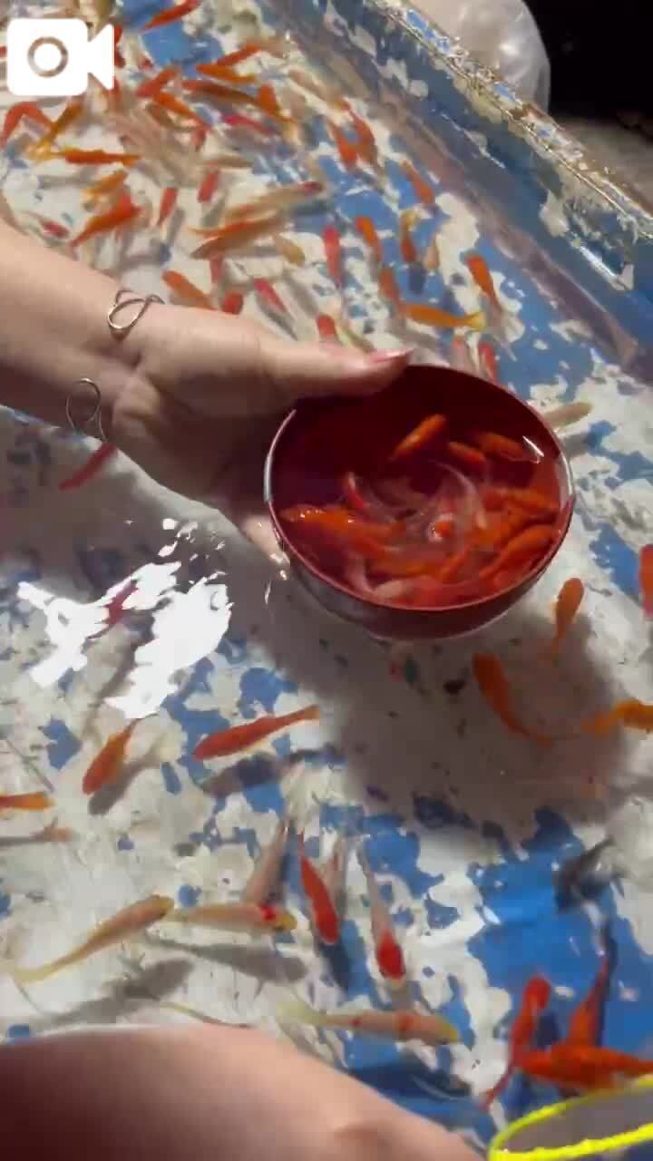 出勤❣️