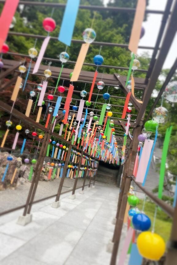 今年もあの場所へ