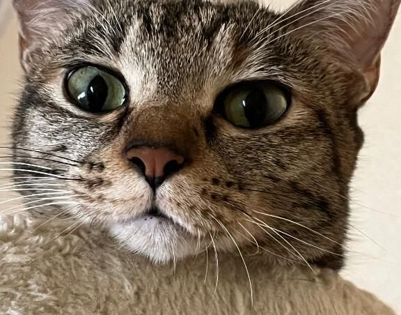 いってらっしゃいの