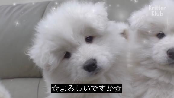 次回21時10分&#x301C;&#9825;