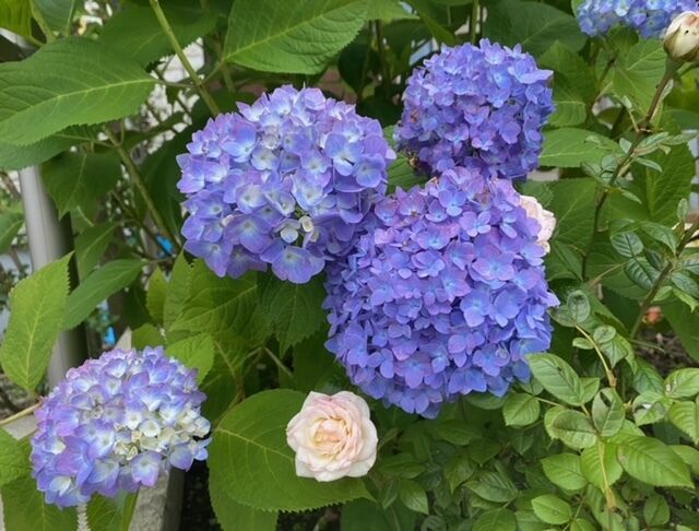 ありがとうございました&#128522;