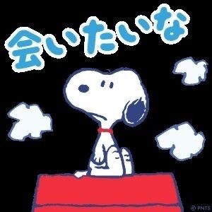 こんばんは