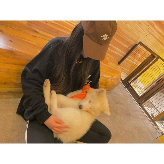 受付終了&#128276;