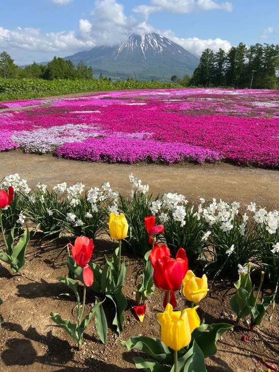 暑くなってきたー&#129397;