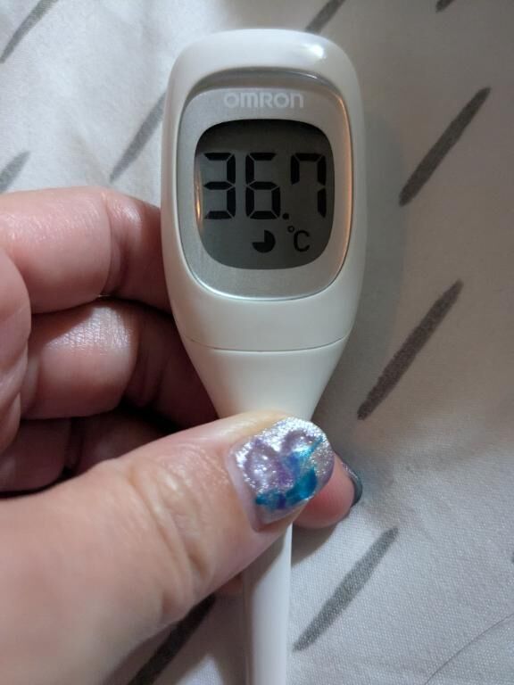本日の体温(*´Д｀)