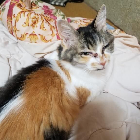 こんにちわ(♡♡♡♡♡♡♡)
