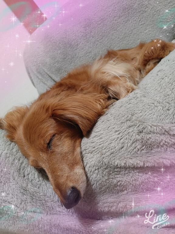 暴れまくりで&#9825;&#9825;&#9825;