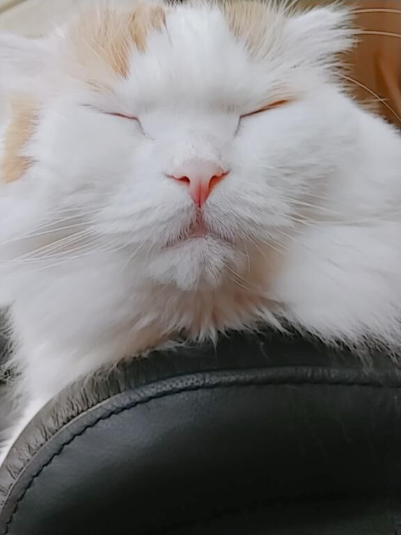 きてね&#9825;&#9825;&#9825;