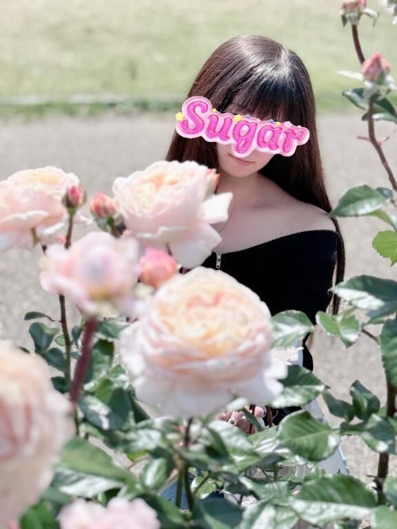 紫陽花見に行きたいなあ&hearts;️