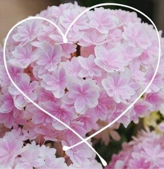 お礼です&#10084;&#65038;