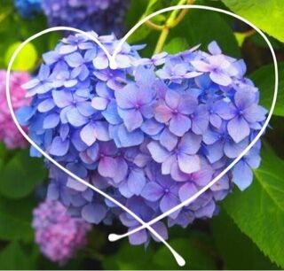 お礼です&#10084;&#65038;