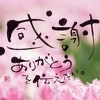 お礼 Tさま