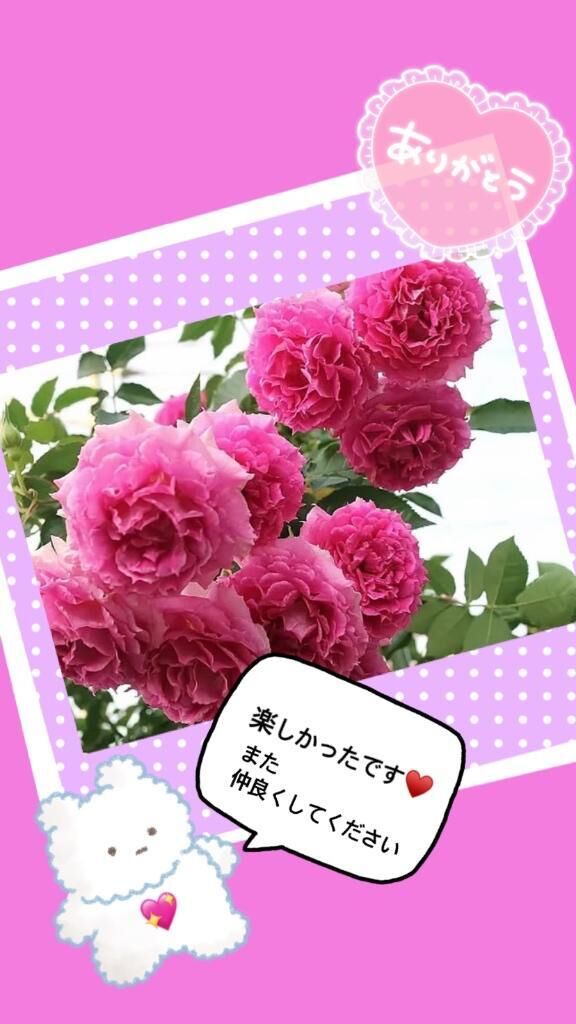 お礼です&#9825;
