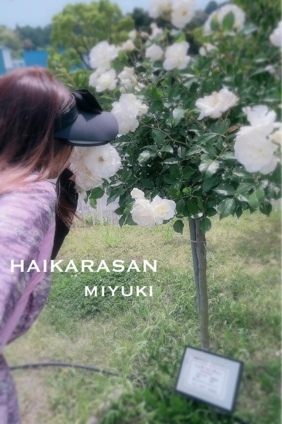&#9825;おはようございます&#9825;