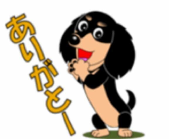 P指様、ありがとう