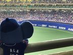 やっぱりね…