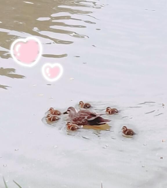 &#129414;
