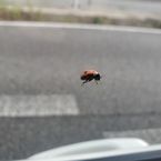 こんにちは