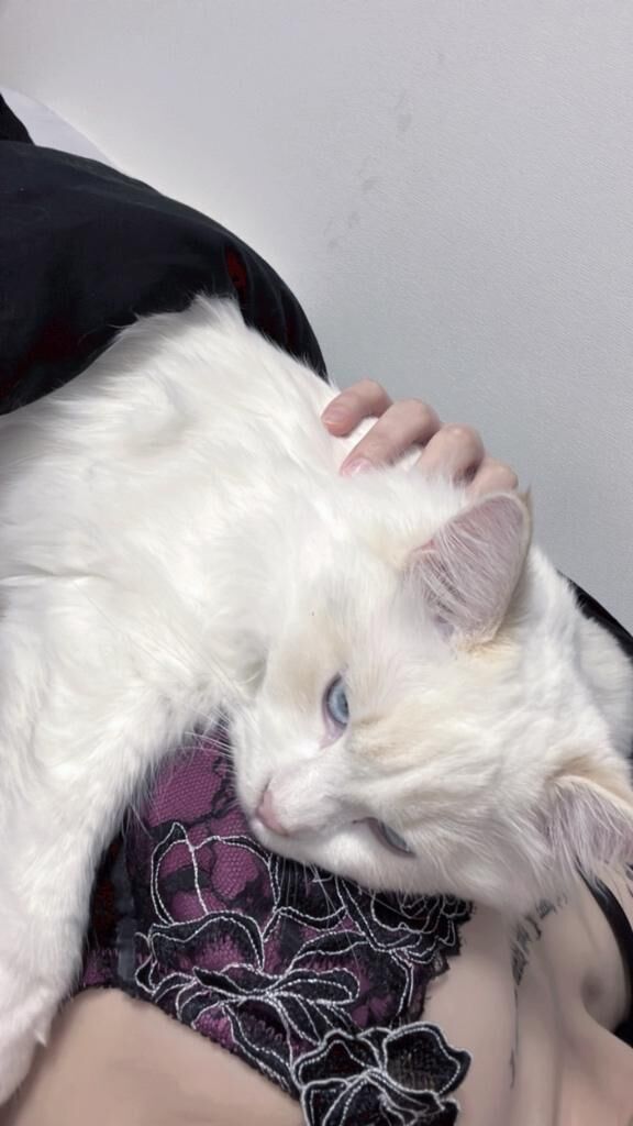 ♡