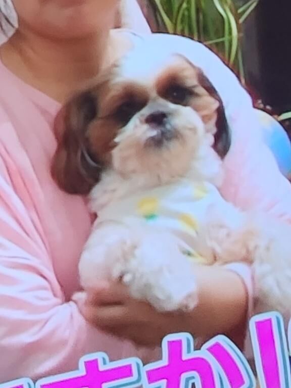 可愛いレーダー発動&#128054;
