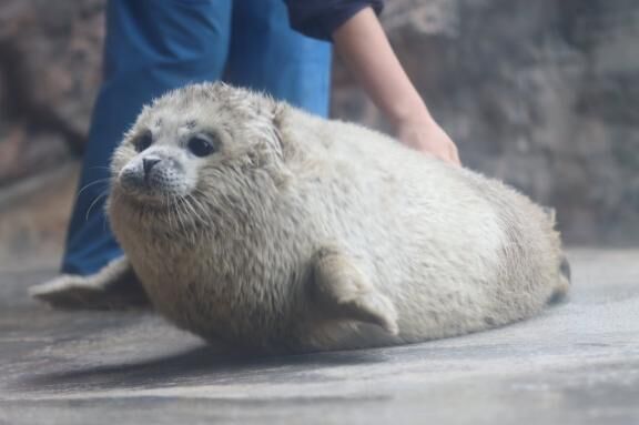 ありがとう♡