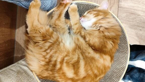 おはようございます&#128522;