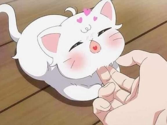 ほんじつ