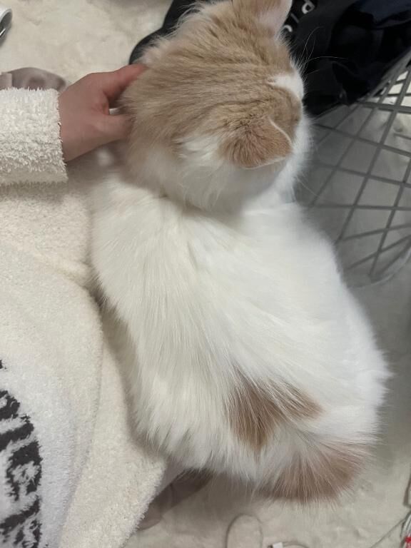お休み