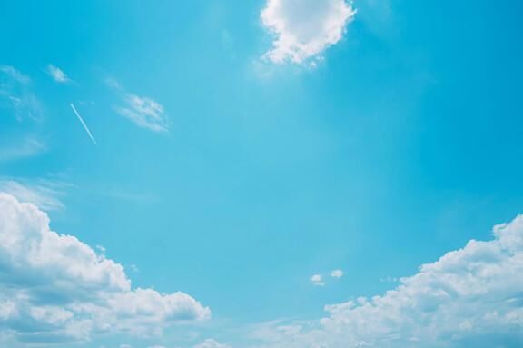 今日はきのこ派です