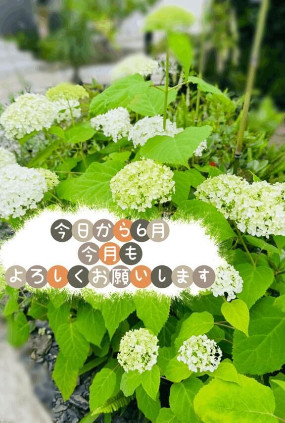 5月ありがとうございました(*&#7447;&#840;&#748;&#7447;&#840;)&#42340;*.゜