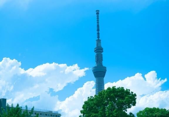 [お題]from:20年使ったタオルさん